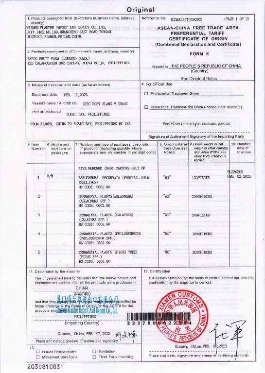 Certificato Xiamen plantre3