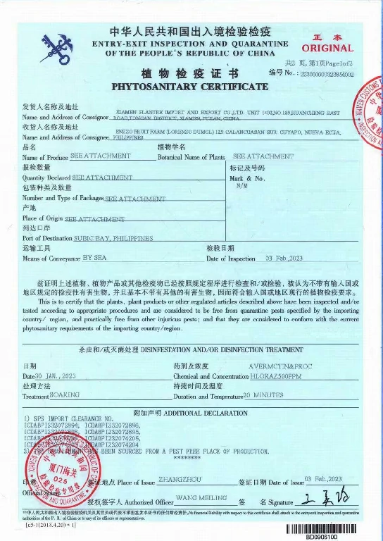 Certificato Xiamen plantre4